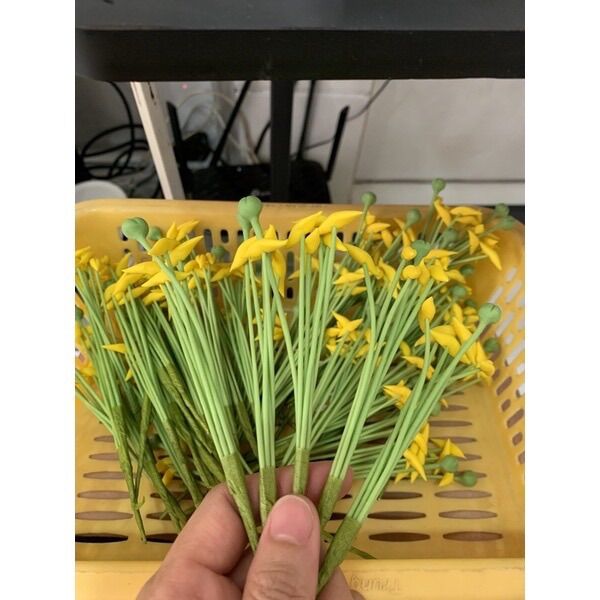 Lily bộ đát sét ( 1 bịch 5 bộ)
