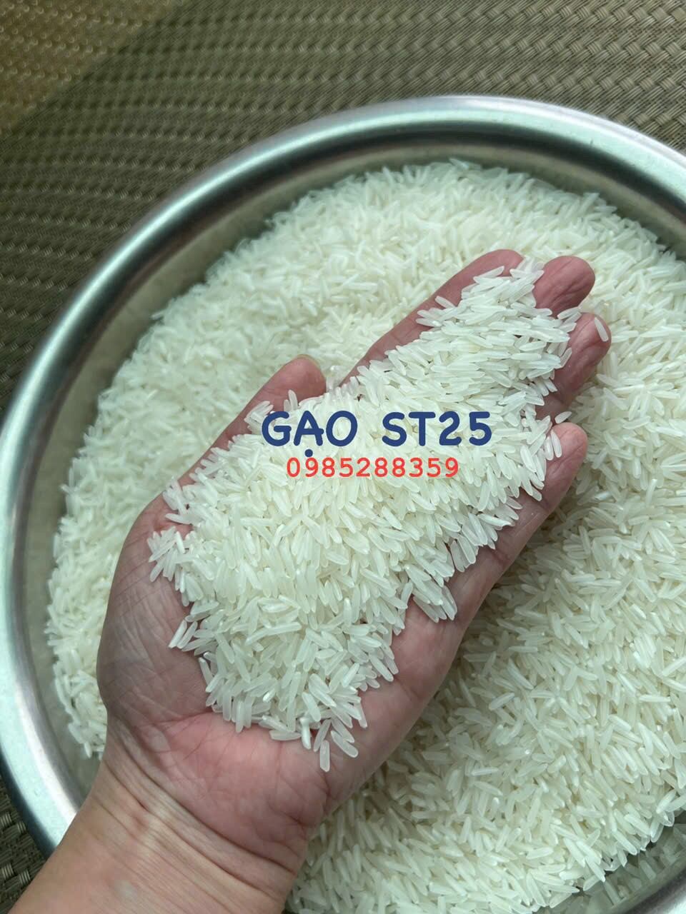 GẠO ST25- túi 5kg