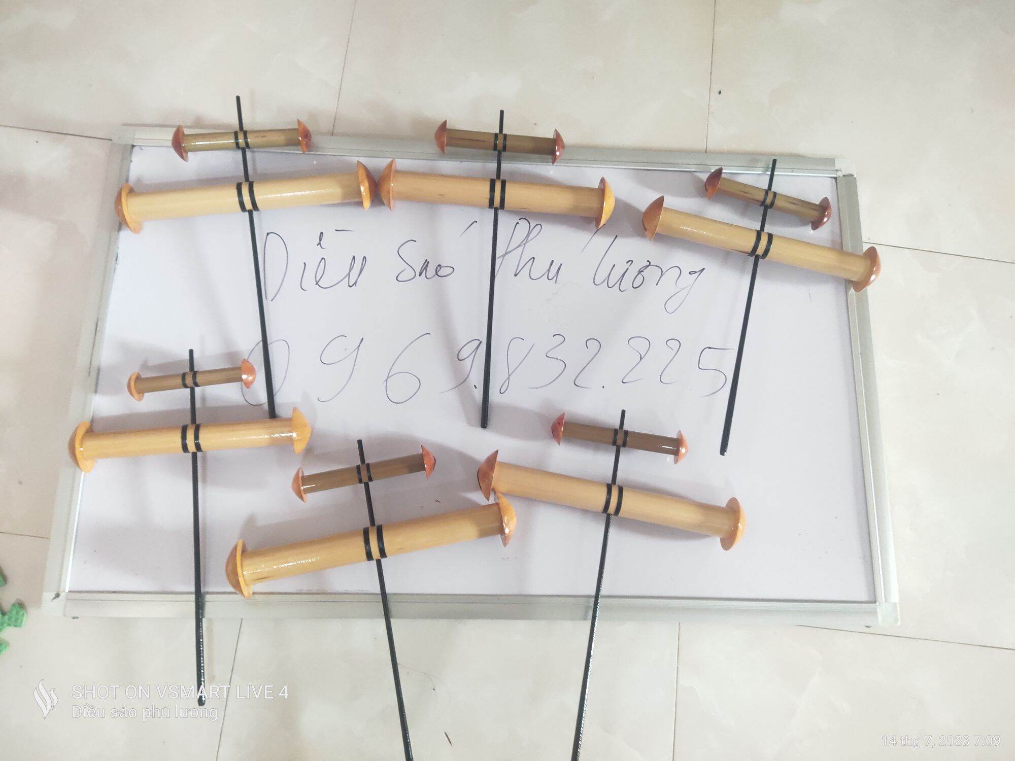 Sáo diều còng còi d35