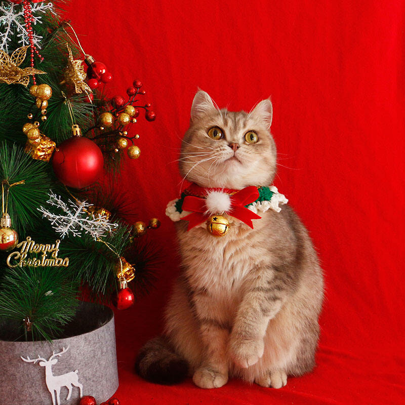 Vòng Cổ Giáng Sinh Mèo Vòng Cổ Yếm Đáng Yêu Hình Chuông Quàng Cổ Quàng Cổ