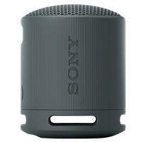 Loa không dây di động Sony SRS-XB100