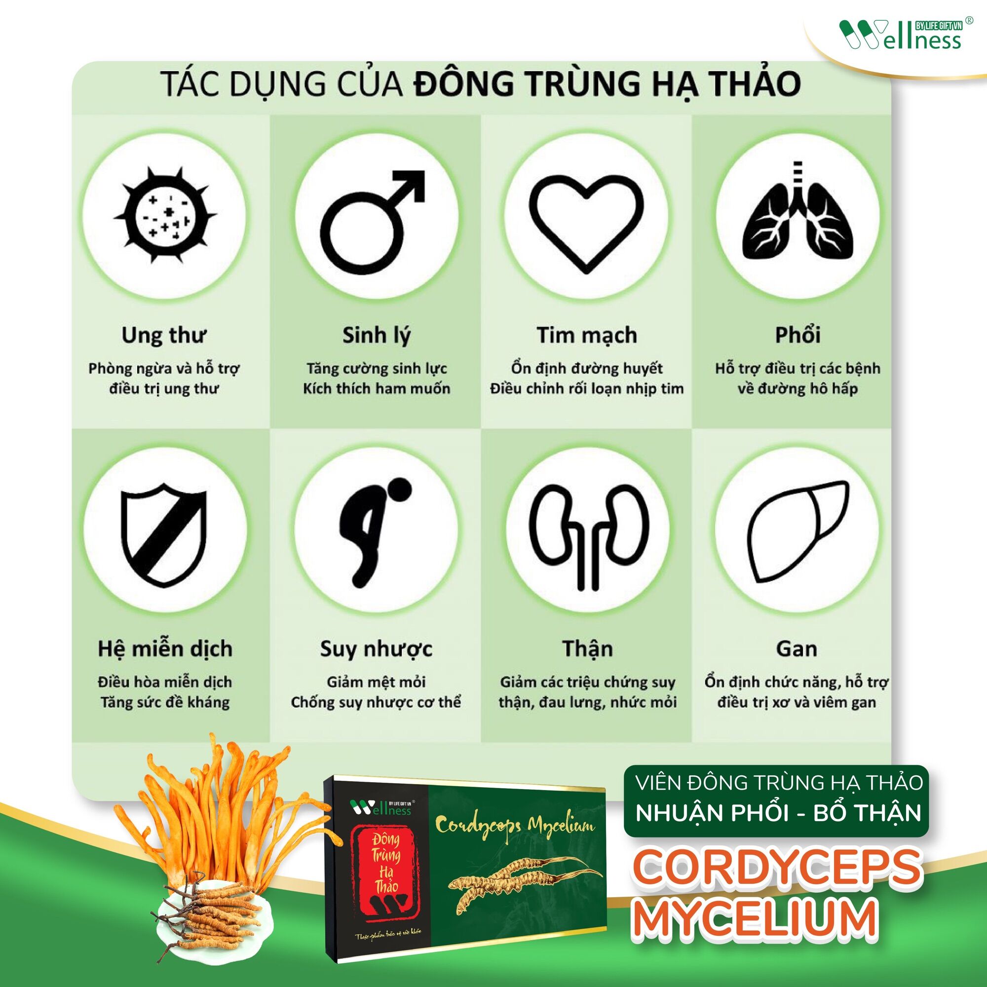 ĐÔNG TRÙNG HẠ THẢO