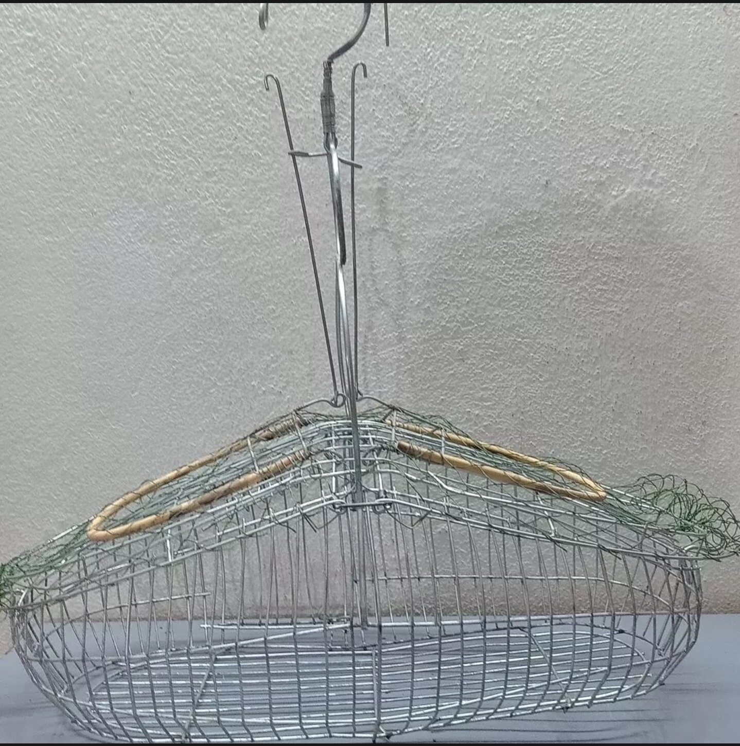 bẫy chim khuyên, sâu, bẫy chim hút mật.