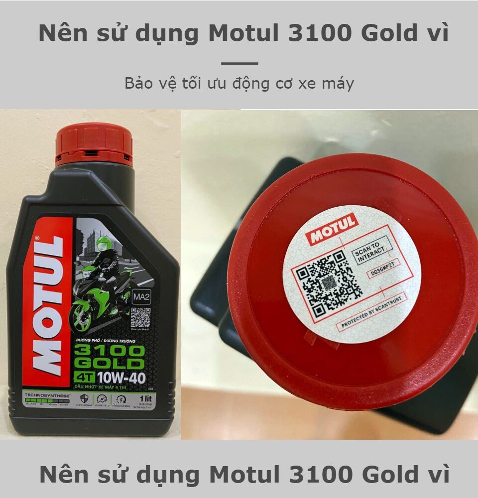 Nhớt Motul 3100 gold (mẫu mới )