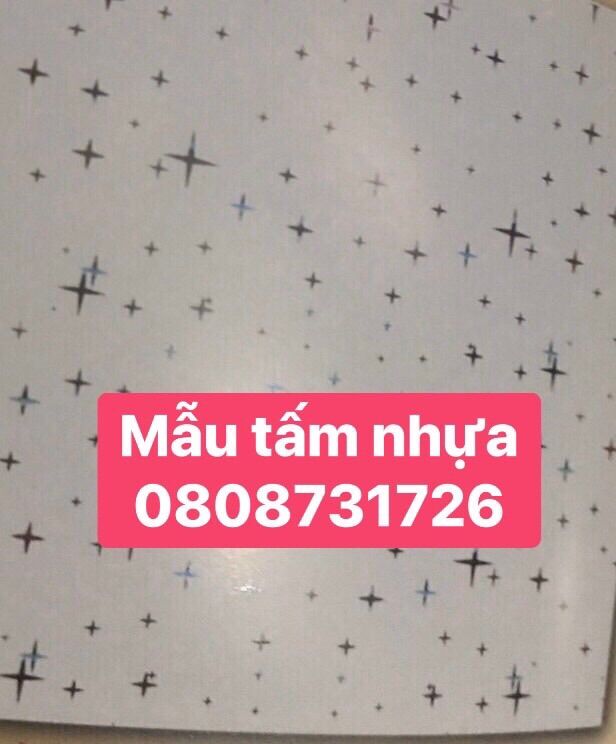 MẪU TẤM TRẦN NHỰA