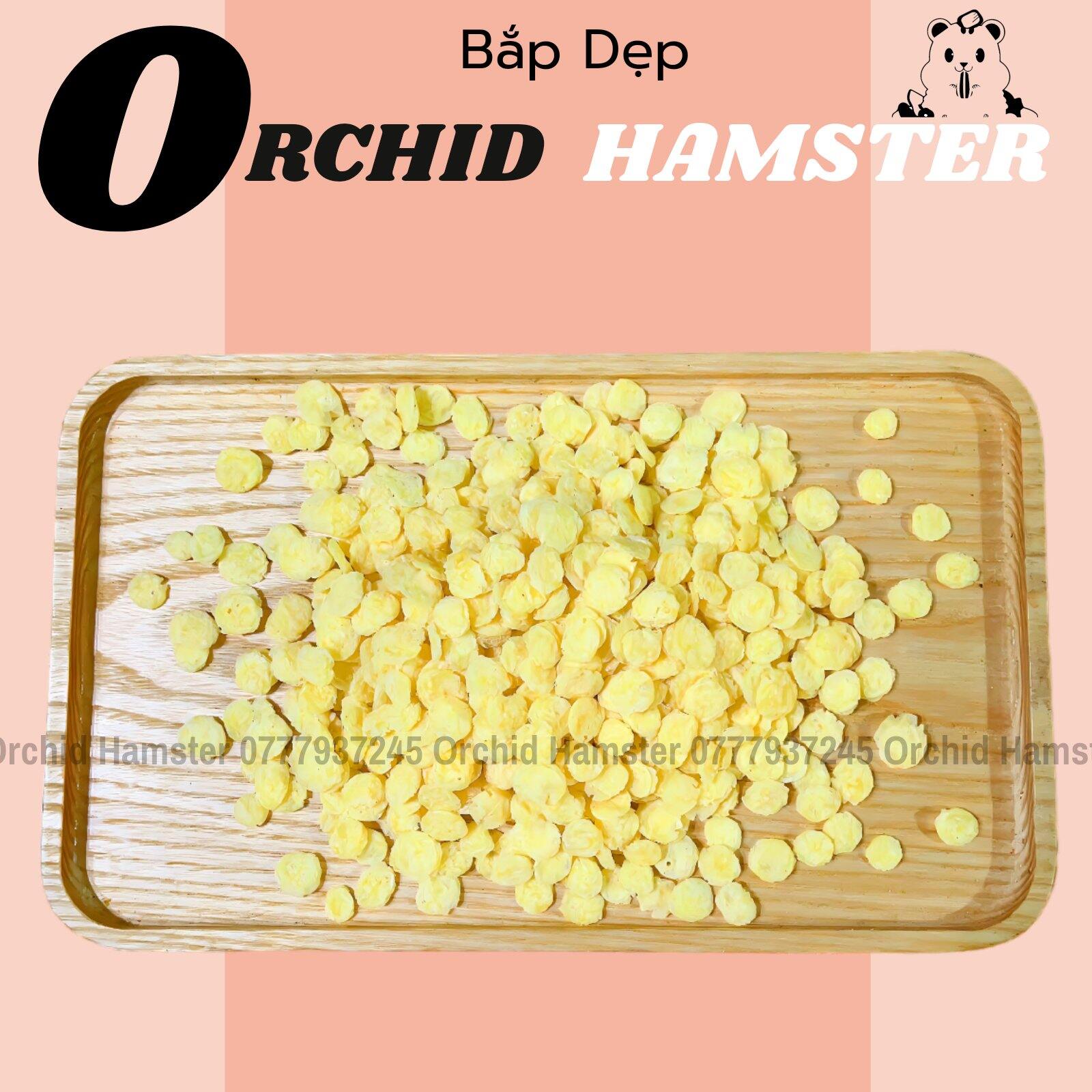Bắp Dẹp Cho Hamster