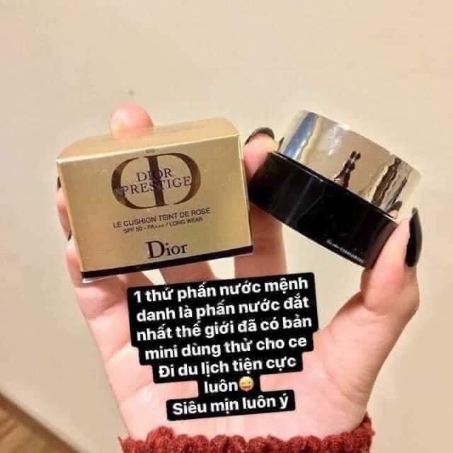 cushion dior mini