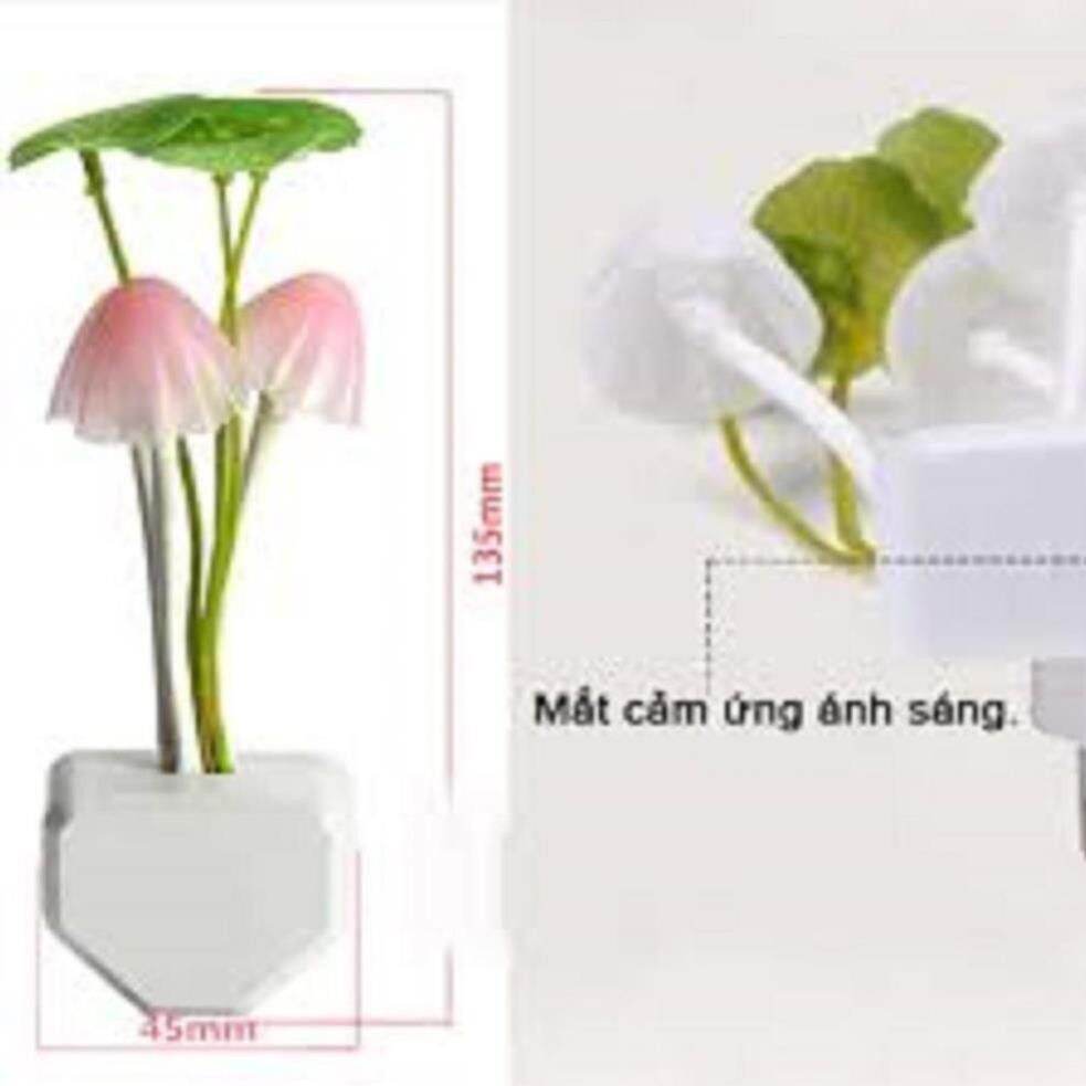 ĐÈN NGỦ CẢM BIẾN HÌNH CÂY NẤM