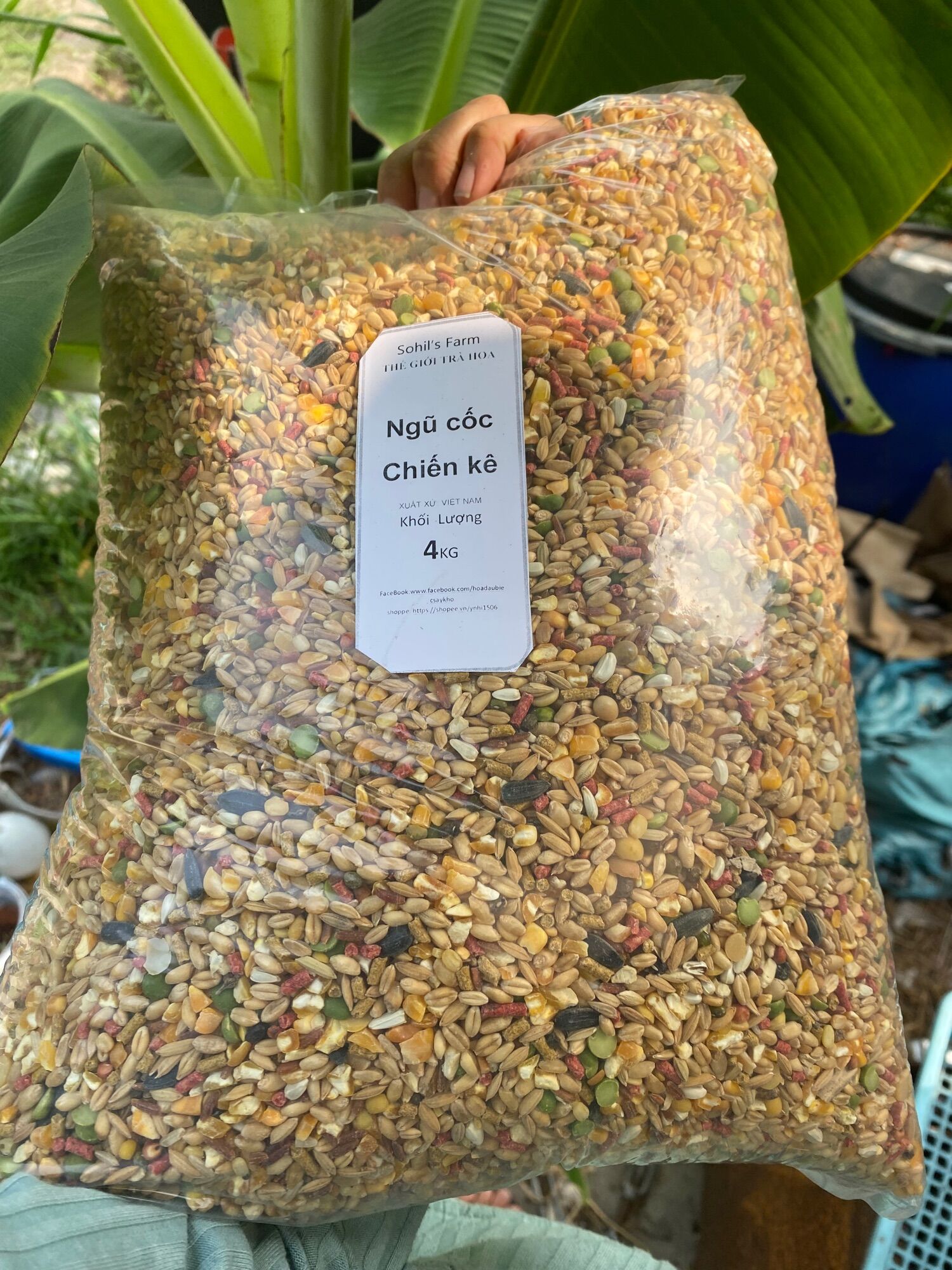 500g Ngũ cốc cho chim vẹt, gà đá…