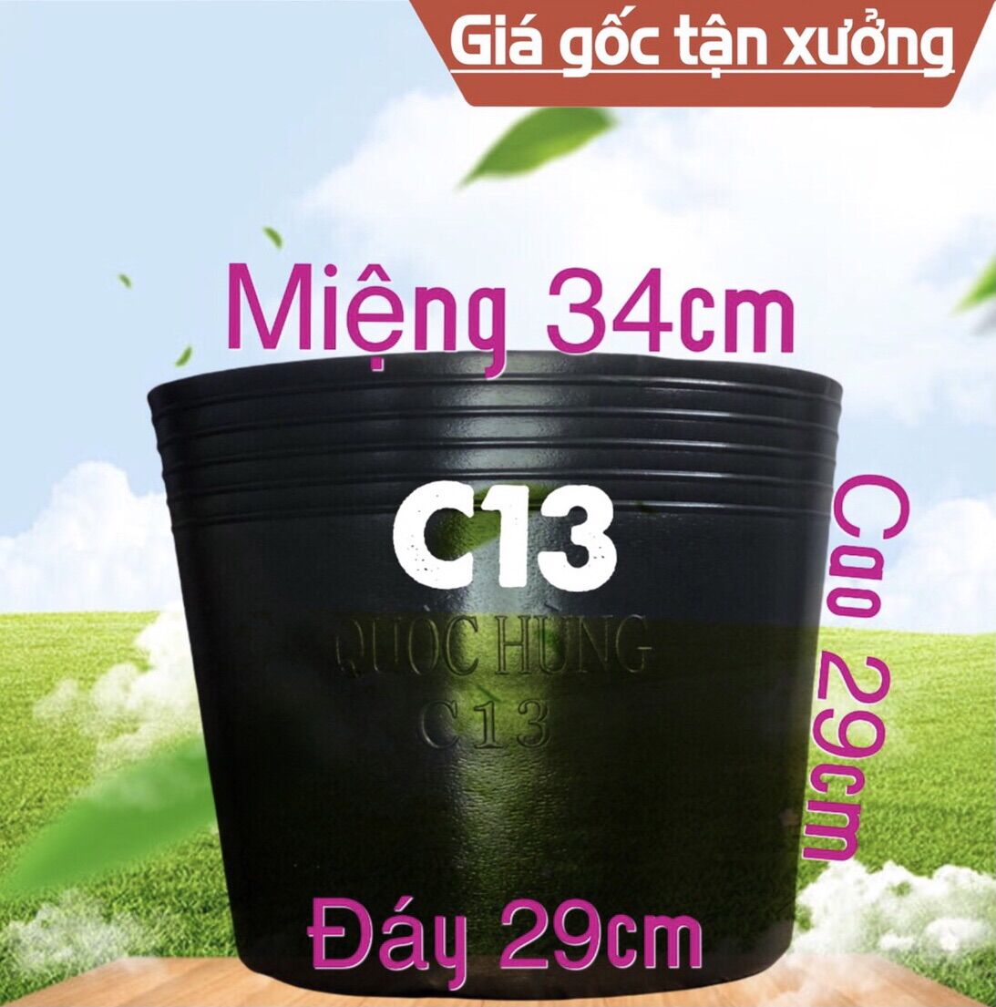 Combo 10 chậu C13 thương hiệu Quốc Hùng