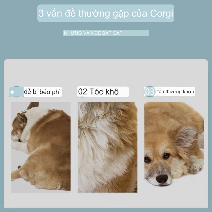 Thức ăn chó chó CORGI KERES TÚI 2kg