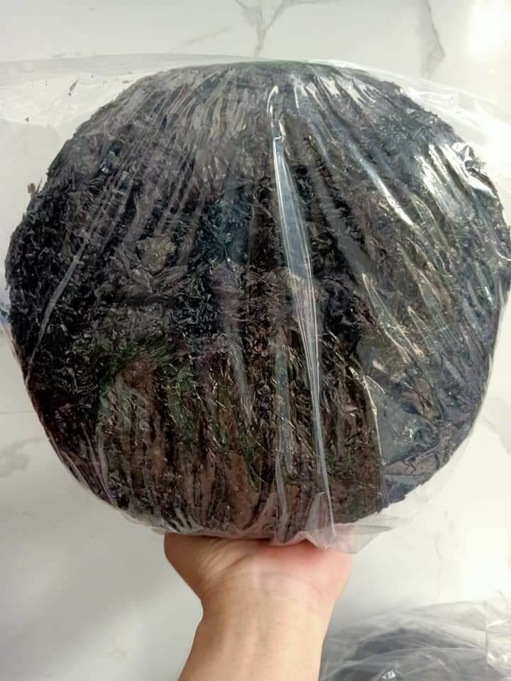 Rong Biển Lý Sơn 100g