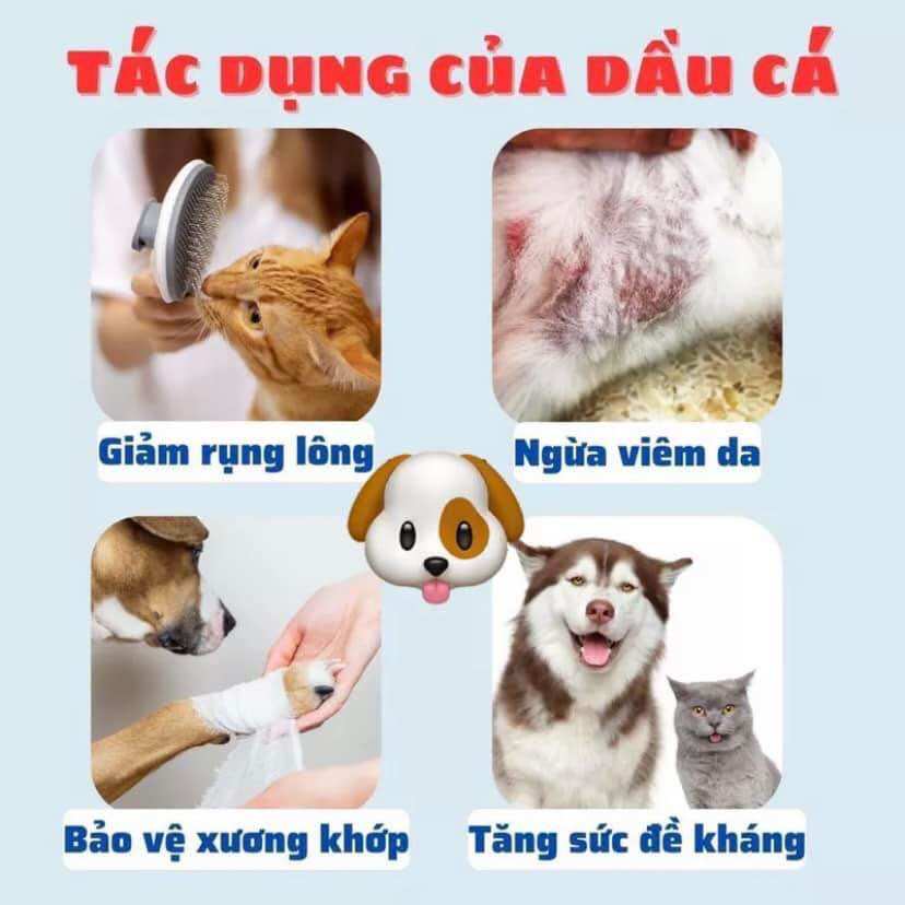 Viên dầu cá Omega chó mèo KAMT