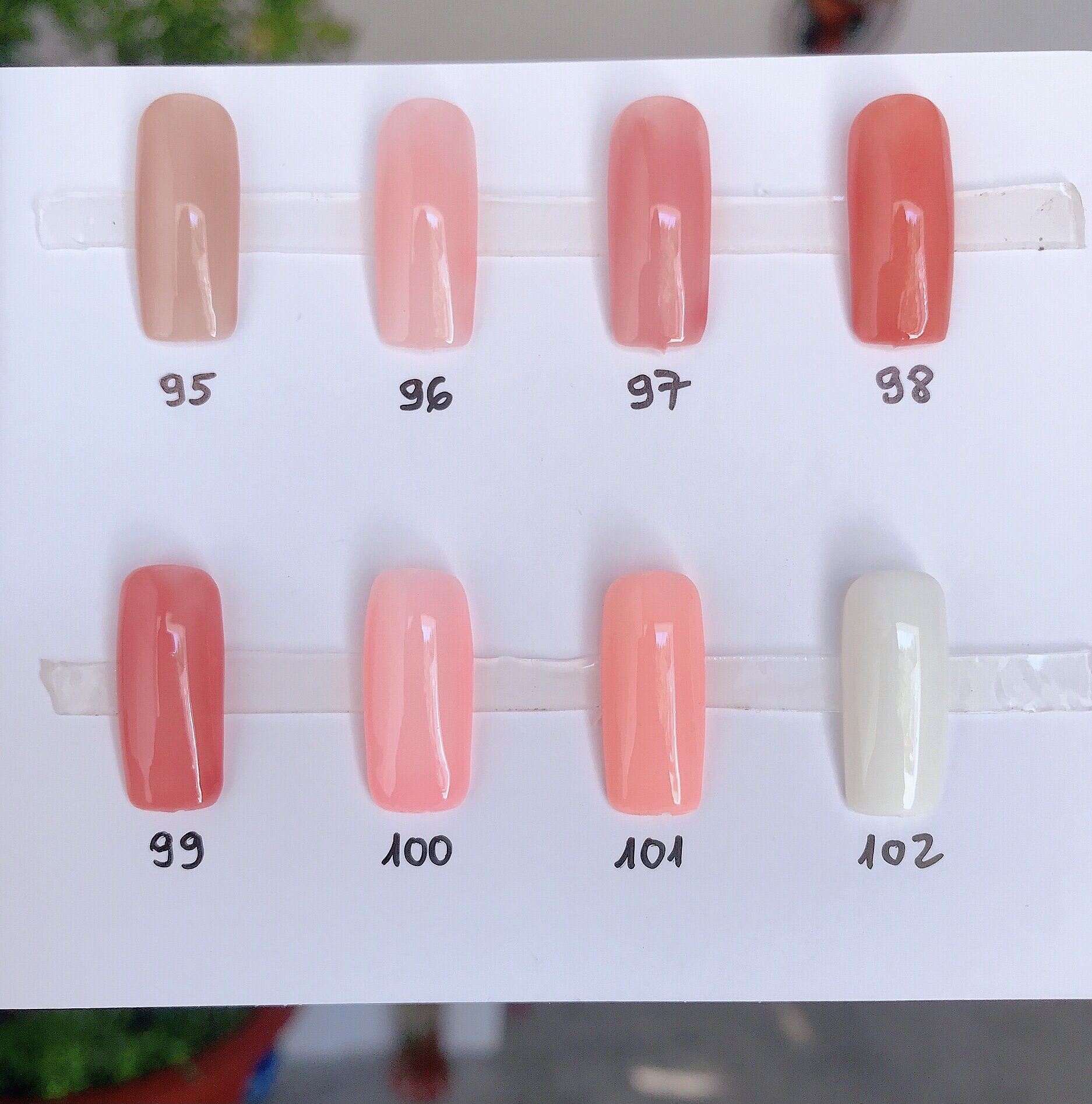 Nailbox Sơn Thạch trơn - Móng Tay và Móng Chân úp nails Sơn Thạch trơn nhiều màu