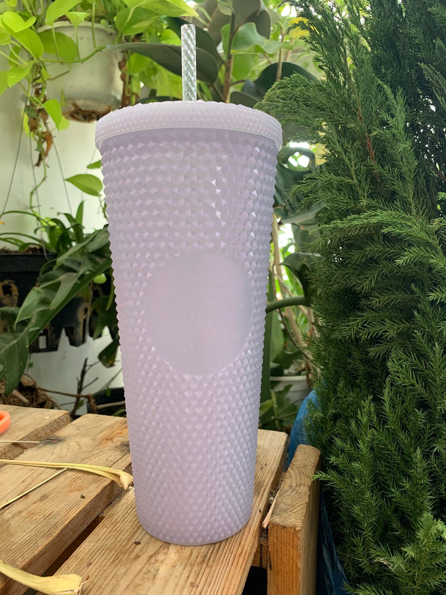 PASS LY PLASTIC COLD CUP 24OZ (709ML) ICY BLING
