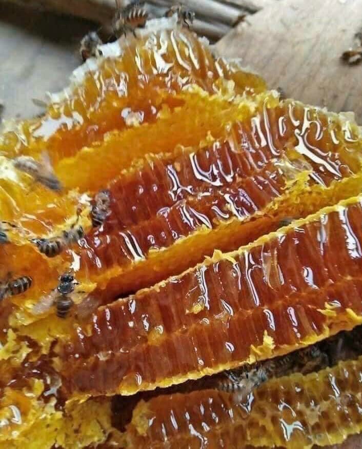 Mật ông hoa cà phê chai 1 lít