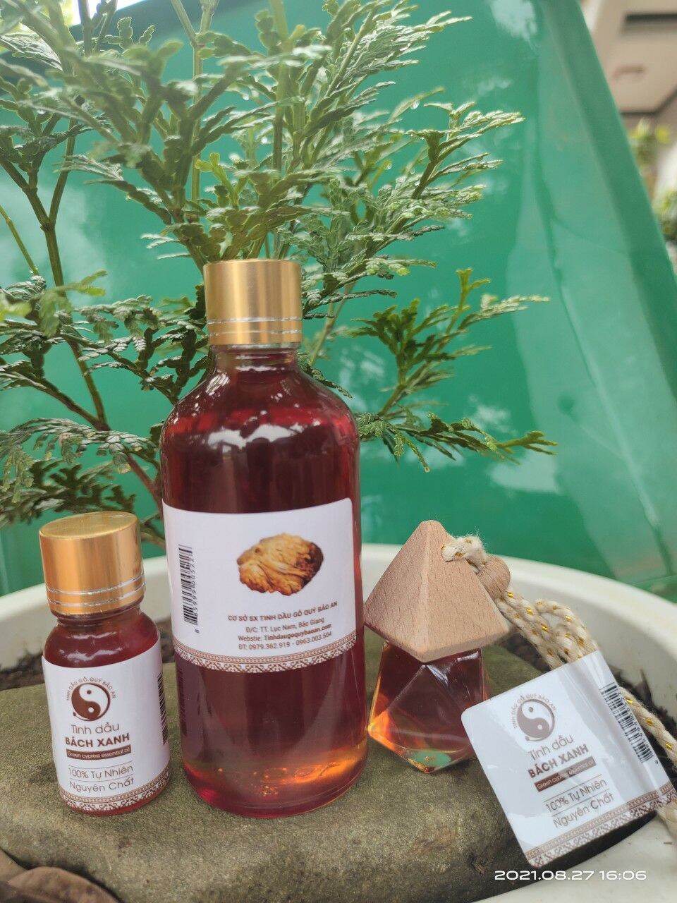 Combo 3 lọ tinh dầu gỗ Bách Xanh Mộc Châu cao cấp nguyên chất