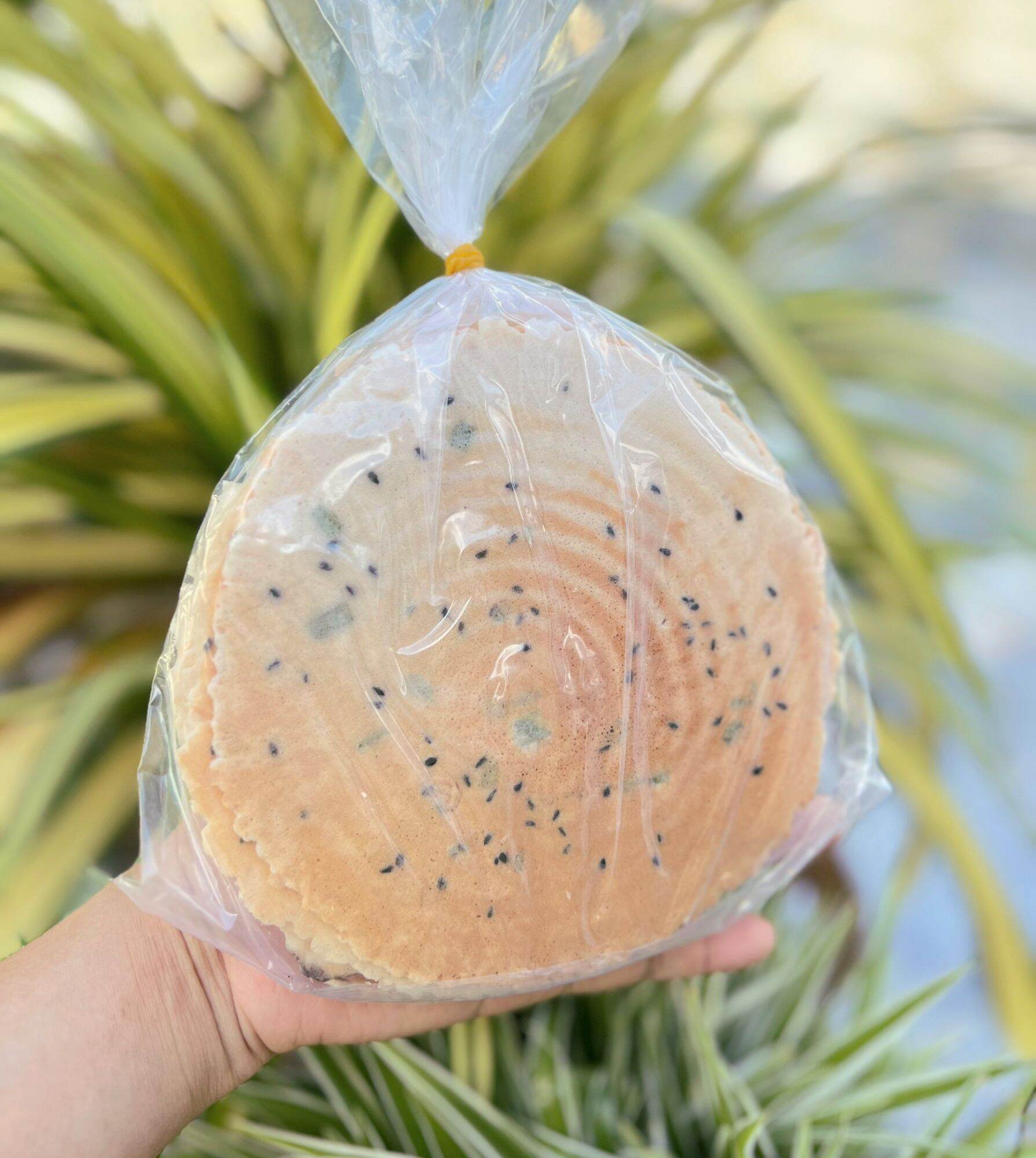 Bánh kẹp mè nước cốt dừa nướng giòn thơm ngon bịch 10 cái 130gram
