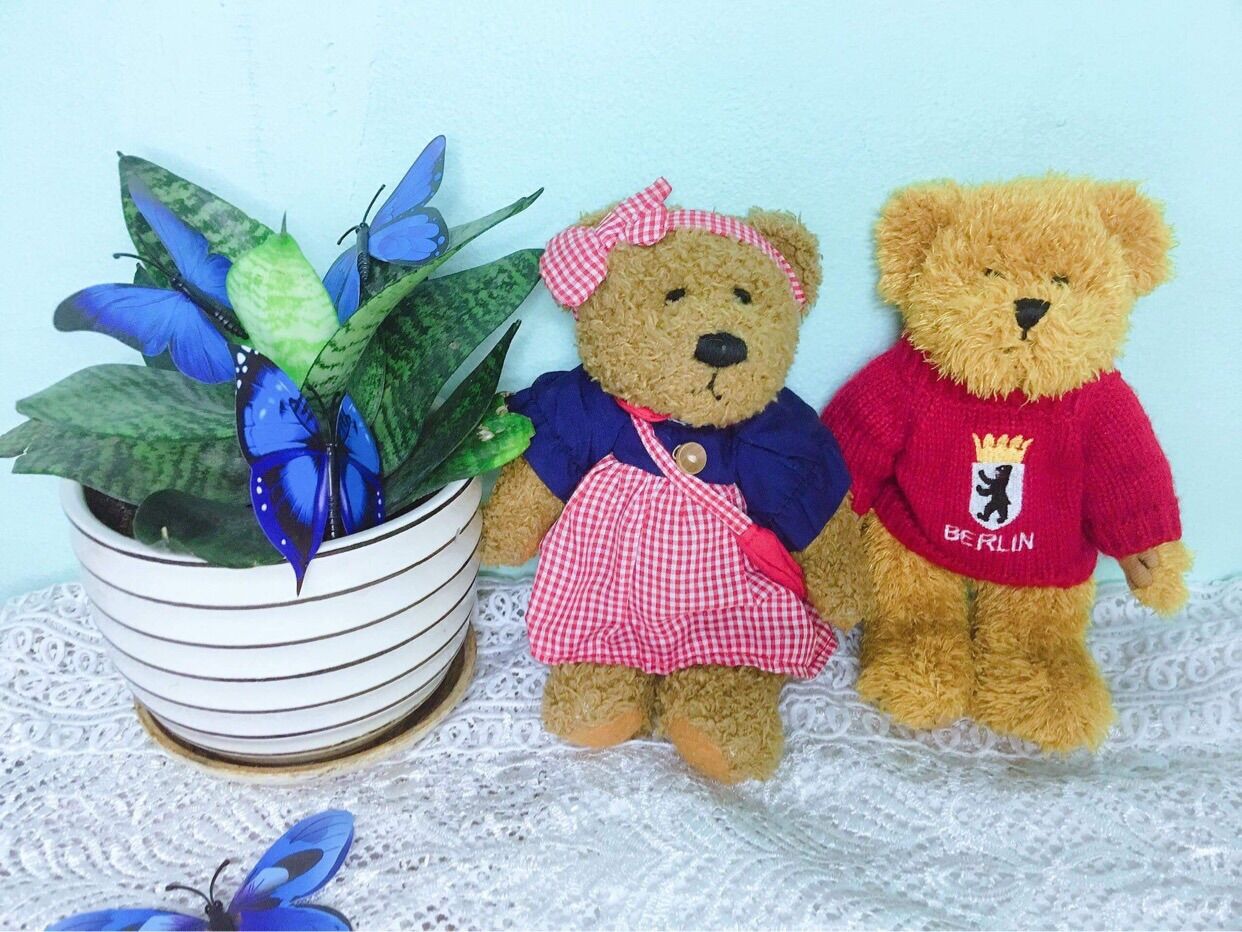 Combo 2 gấu teddy 20cm