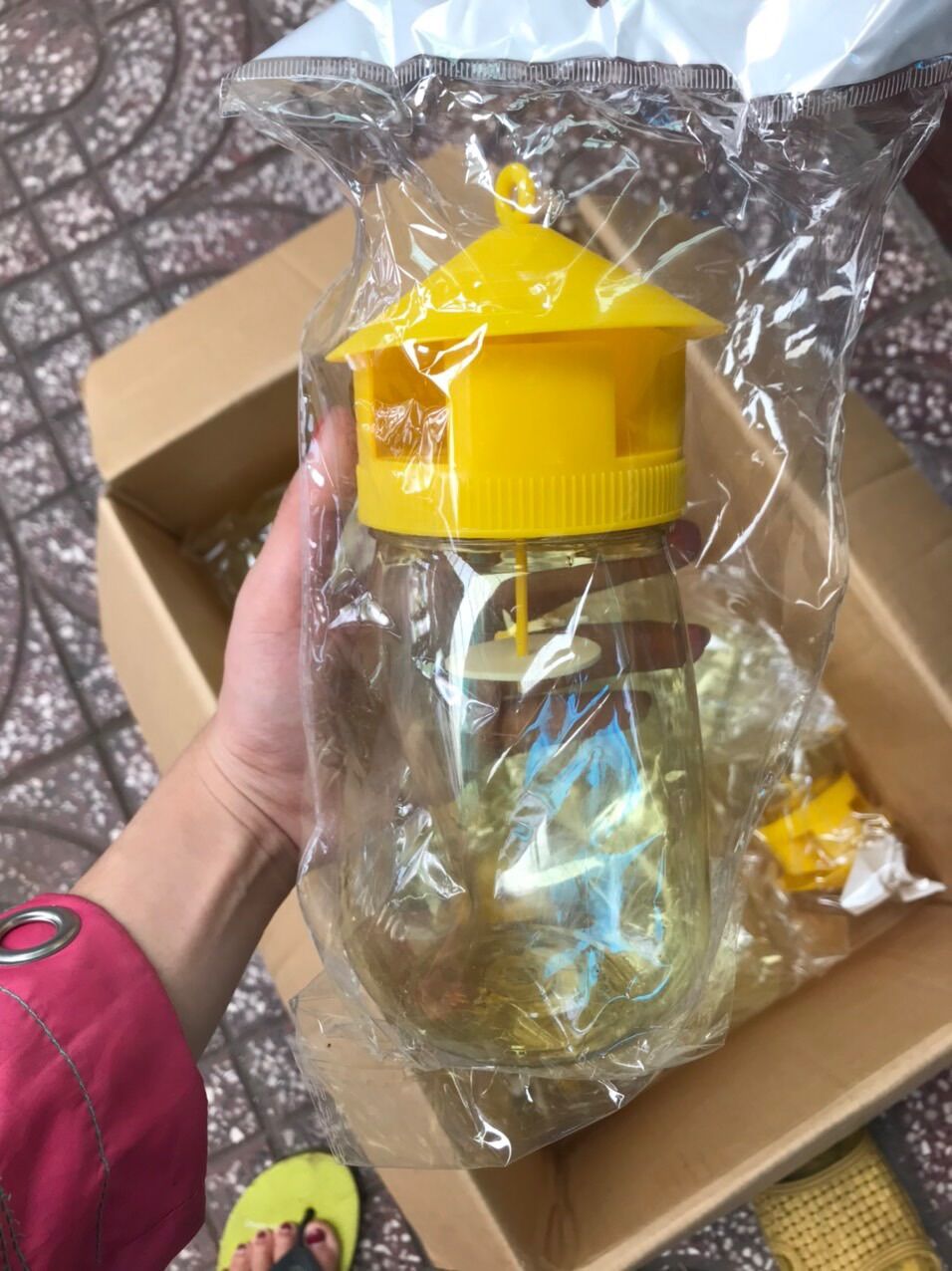 Bẫy Ruồi Vàng - Kèm Ống Dẫn Dụ