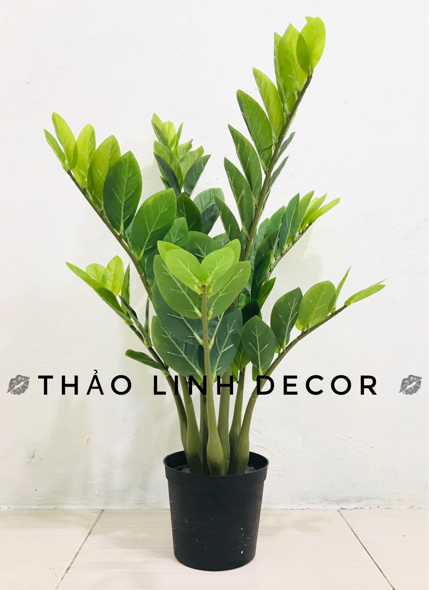 Cây kim tiền giả trang trí hàng loại 1 70cm ThảolinhDecor