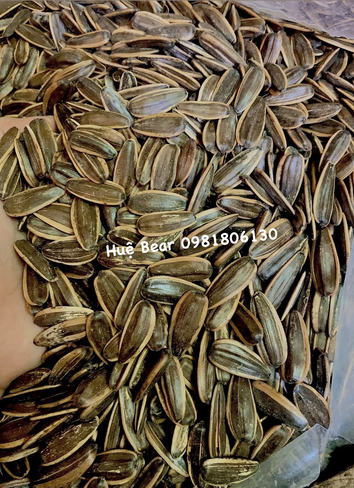 500g hướng dương tẩm vị dừa hạt chắc mẩy thơm ngon