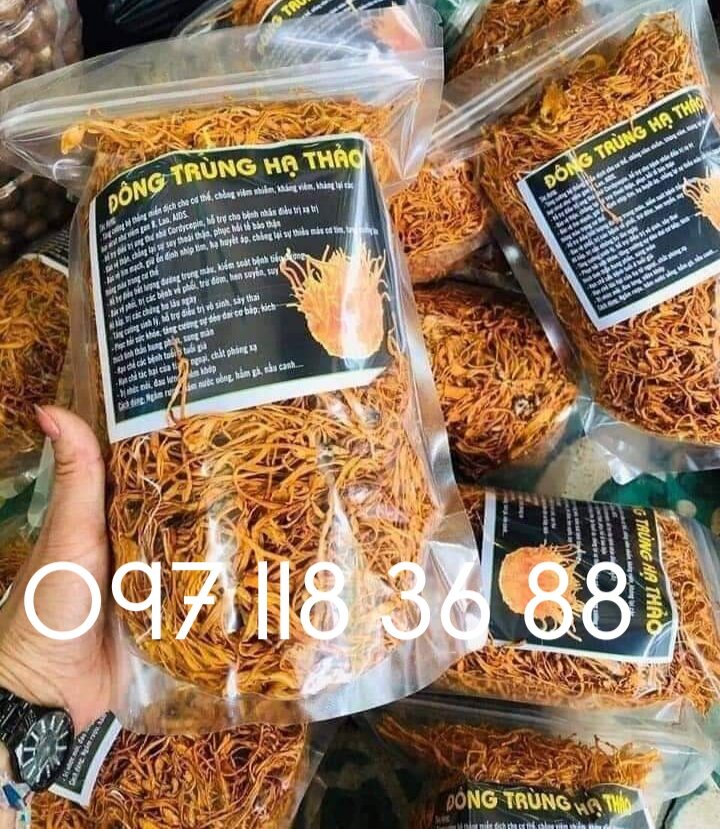1kg đông trùng hạ thảo khô - hàng việt nam, bao chất