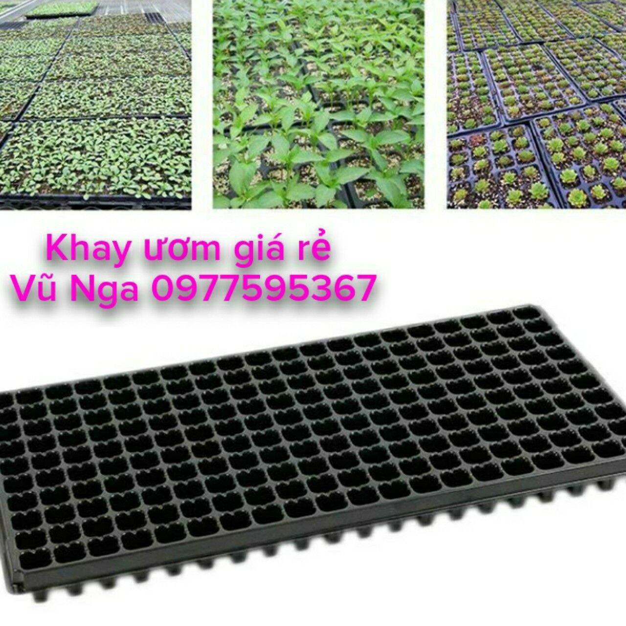 Khay ươm hạt 10 cái 32 lỗ