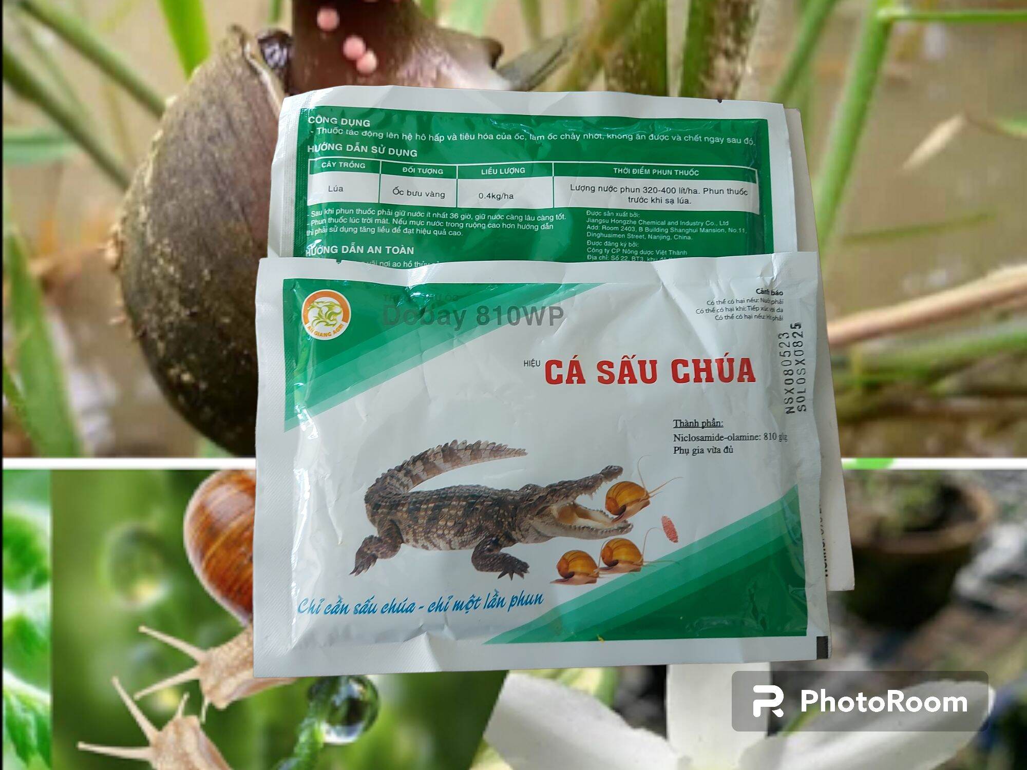Cá sấu chúa 810wp- thuốc diệt ốc bươu vàng, ốc sên dạng phun
