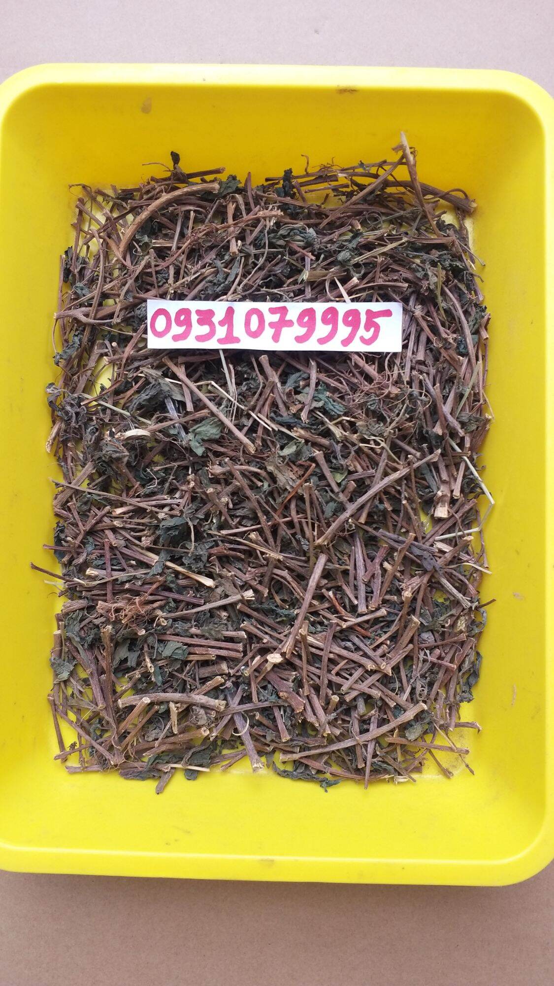 cây lá dòi - lá dòi tía phơi khô 1kg