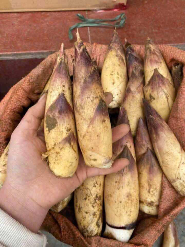 Măng vầu tây băc ngọt thơm 2kg