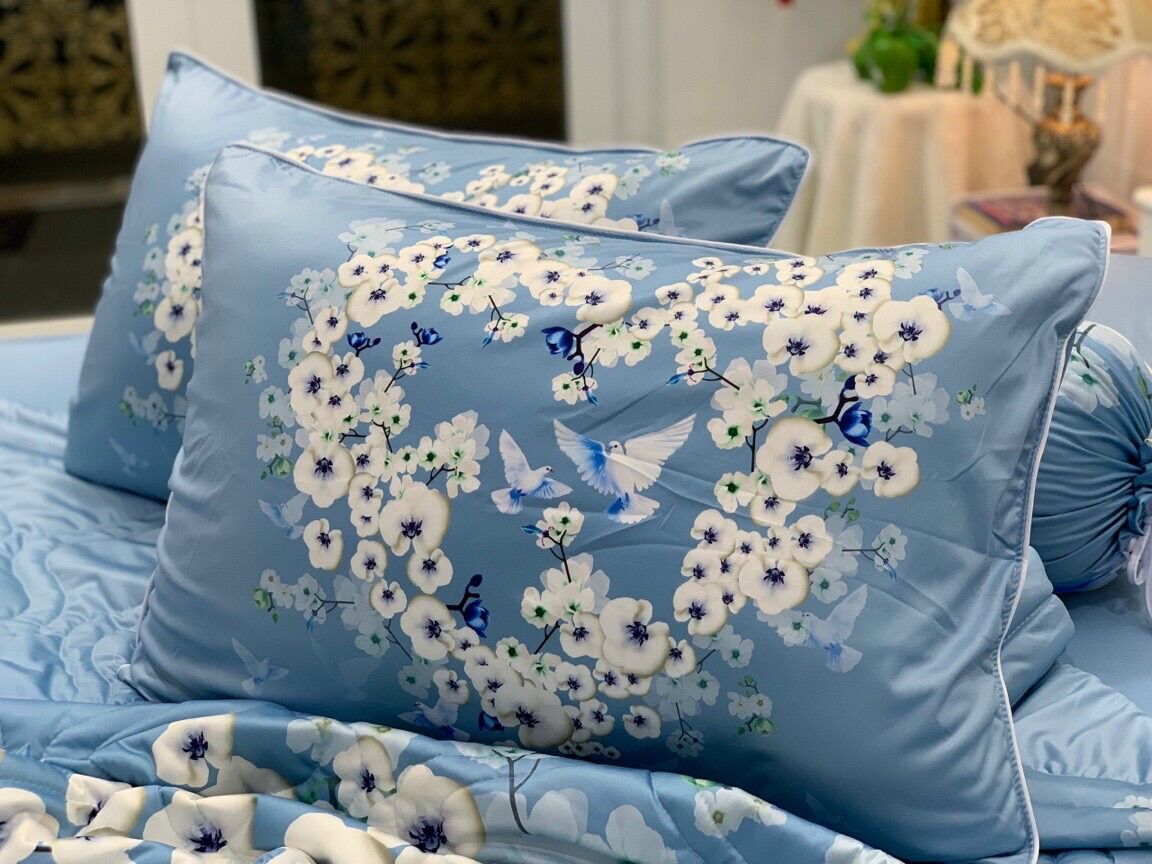 Bộ 4 ga/drap áo gối THUN LẠNH Ý 5D cao cấp