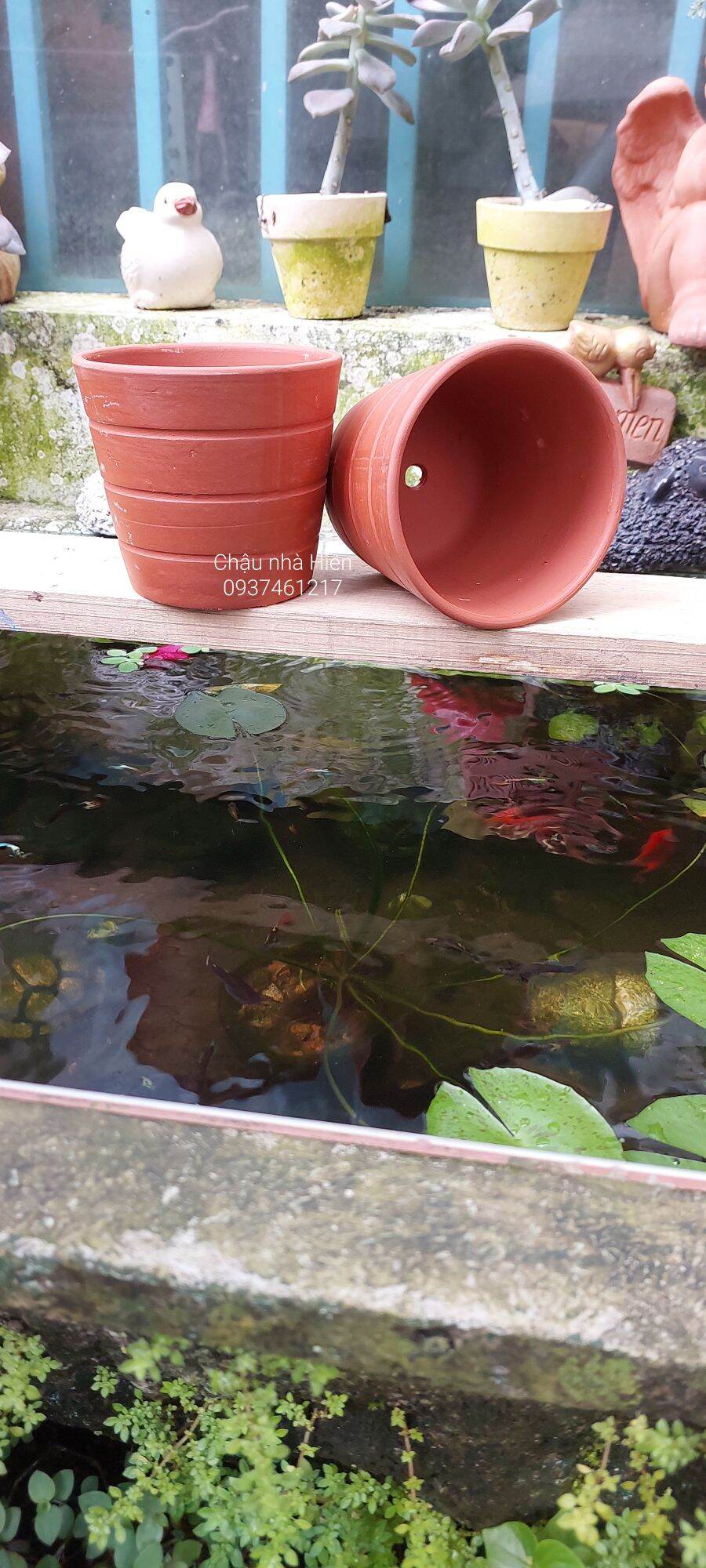 Chậu đất nung Bình Dương ly sọc ngang