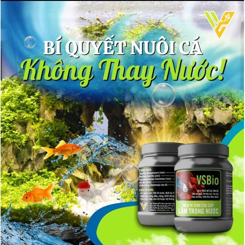 Men vi sinh VS Bio - Làm trong nước hồ cá - Mr Fish