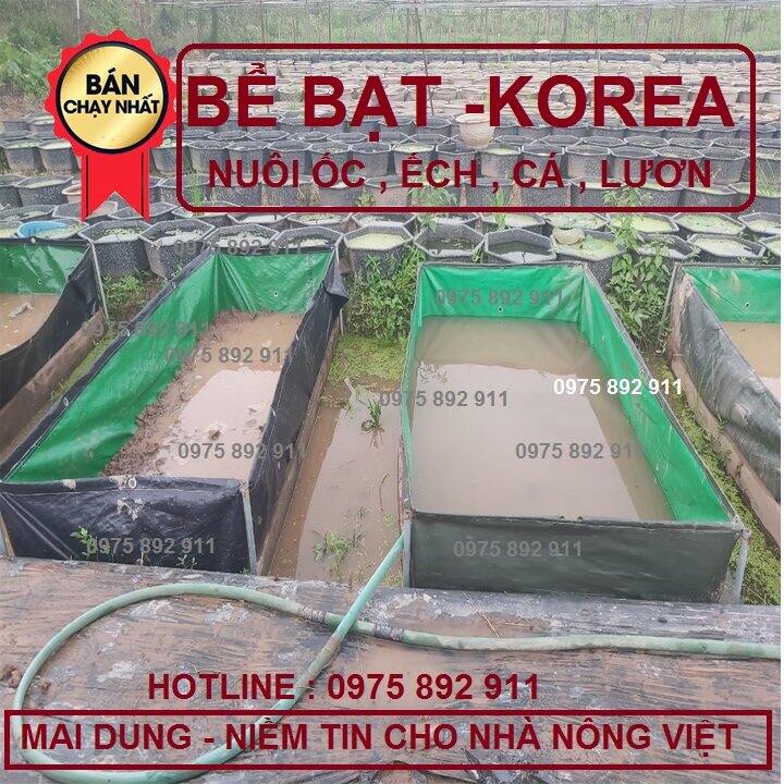 Bể bạt nuôi ốc ếch cá lươn -  xanh bộ đội