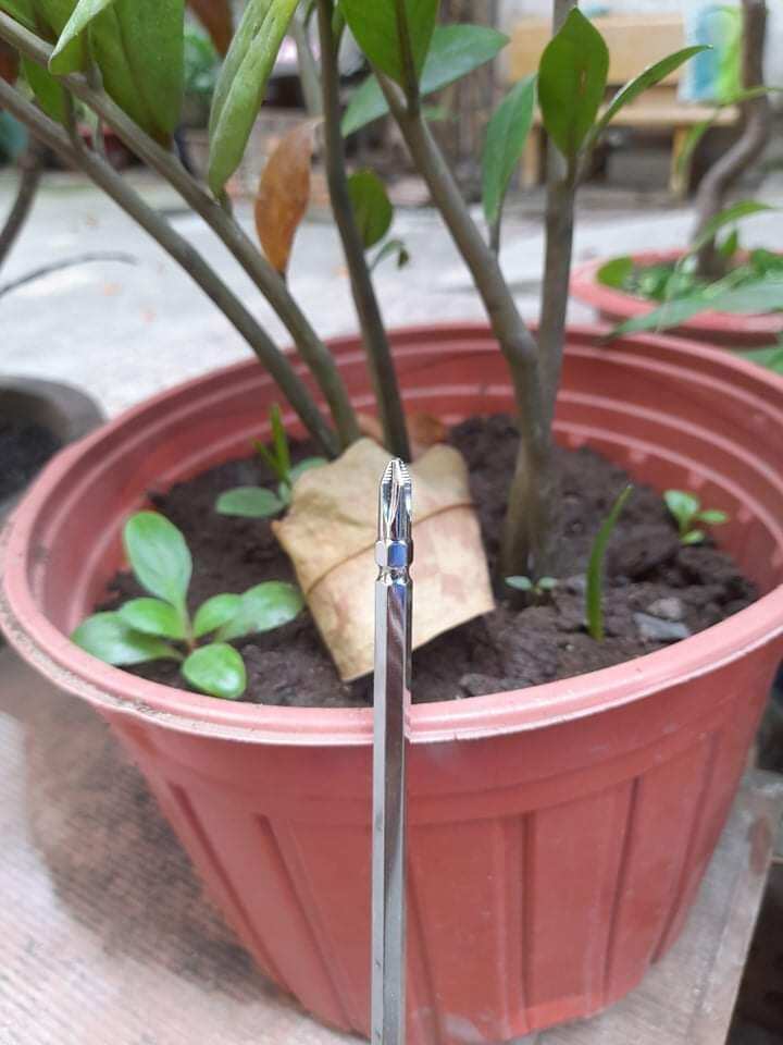 TUA VÍT KAPUSI CAO CẤP