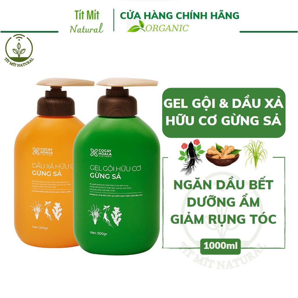 Cặp dầu gội xả gừng sả cocayhoala hết gàu hết ngứa 500g