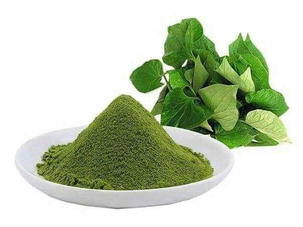 Hộp 500g bột diếp cá sấy lạnh nguyên chất