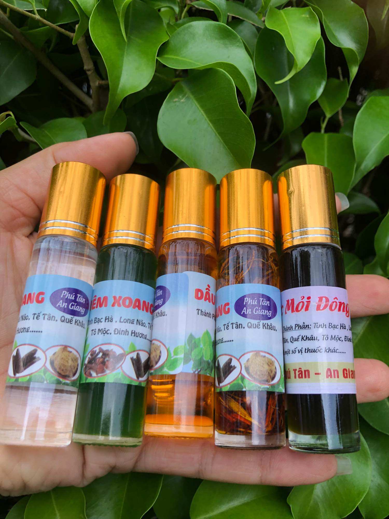 Dầu viêm xoang vàng 10ml
