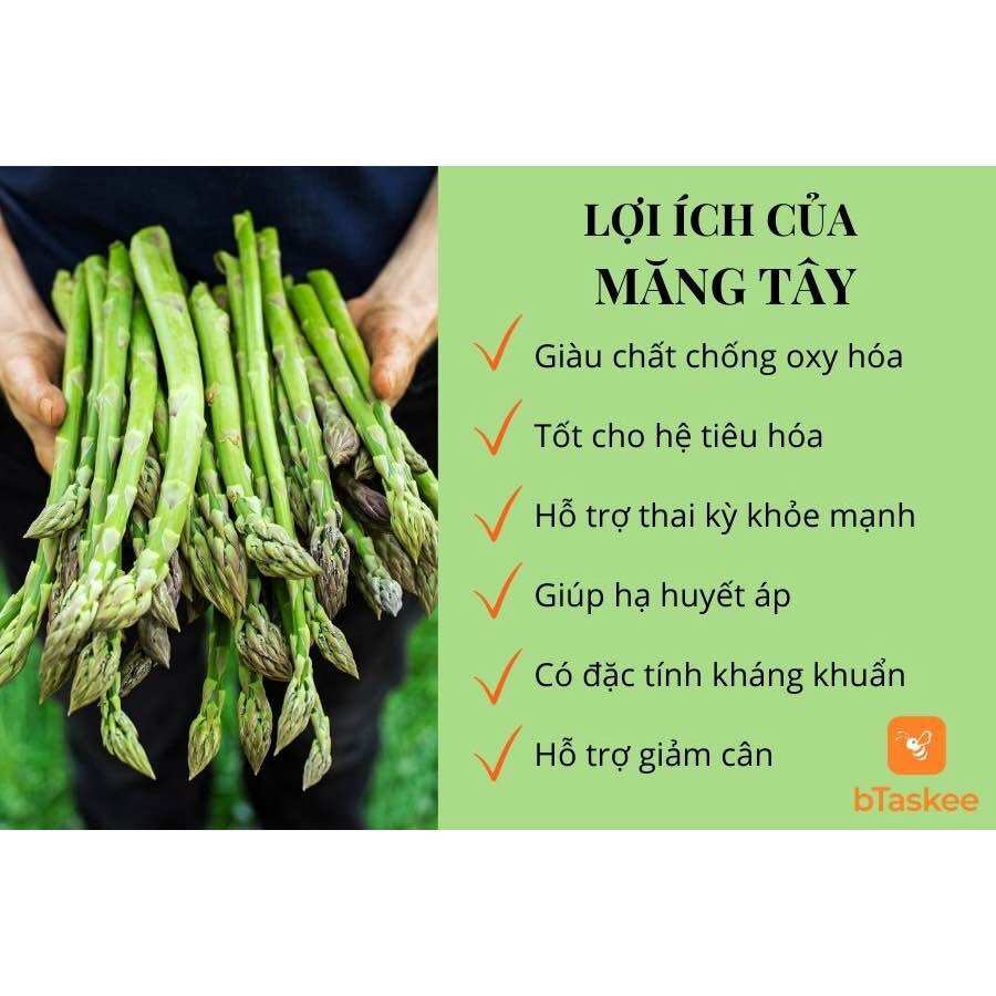 Hạt giống măng tây (gói zip 200hạt)