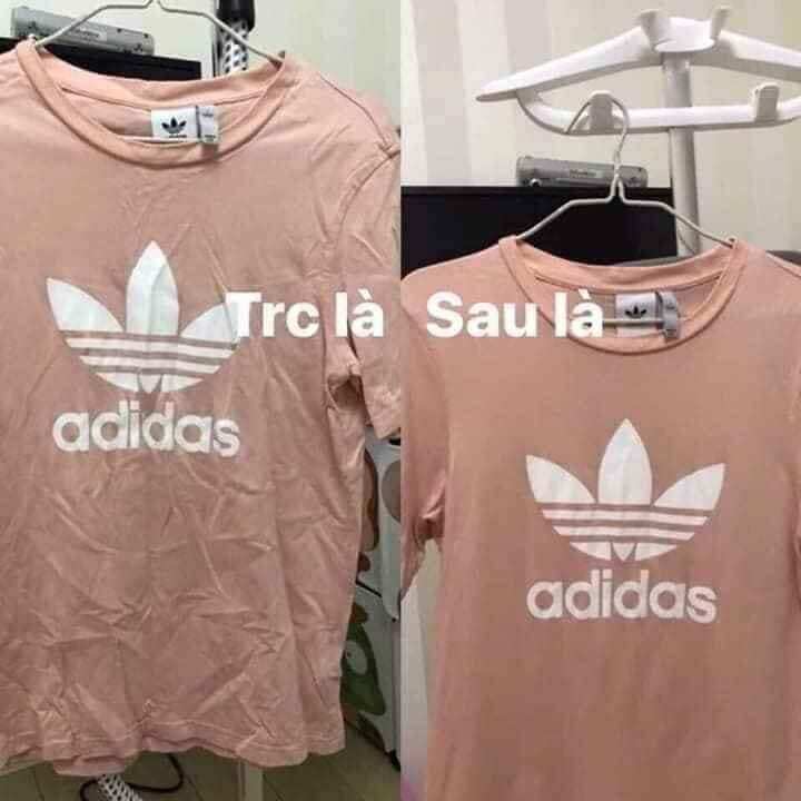 BÀN LÀ CÂY HƠI NƯỚC