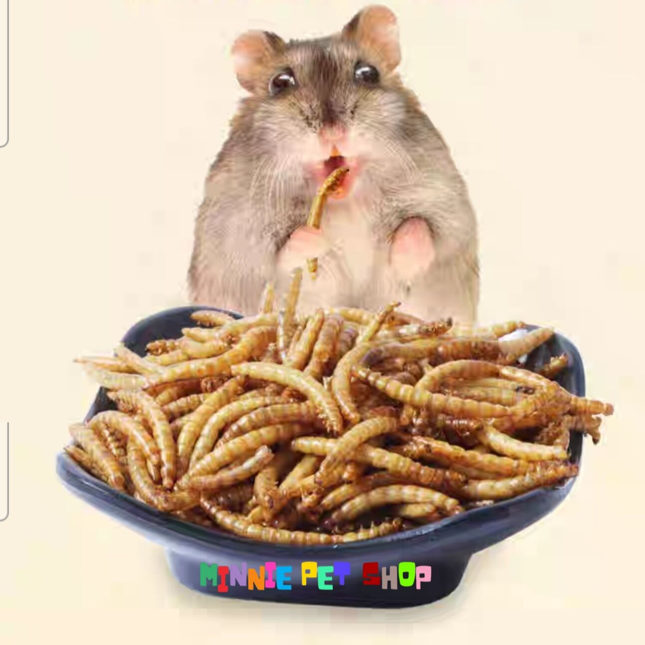 Sâu khô superworm cho Hamster, Nhím, Sóc