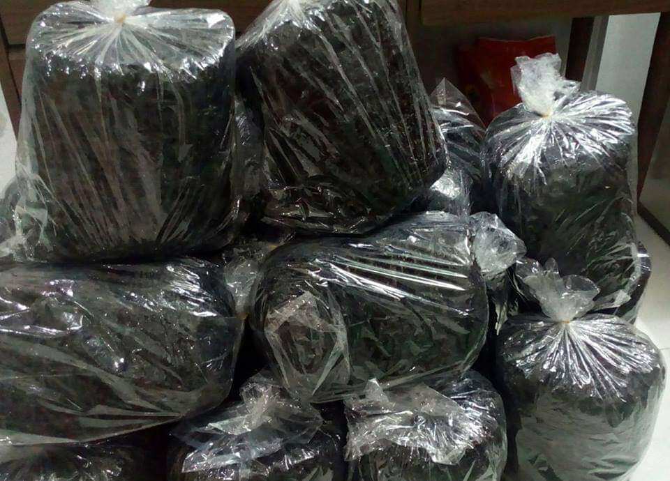 Rong biển sấy khô bịch 100g