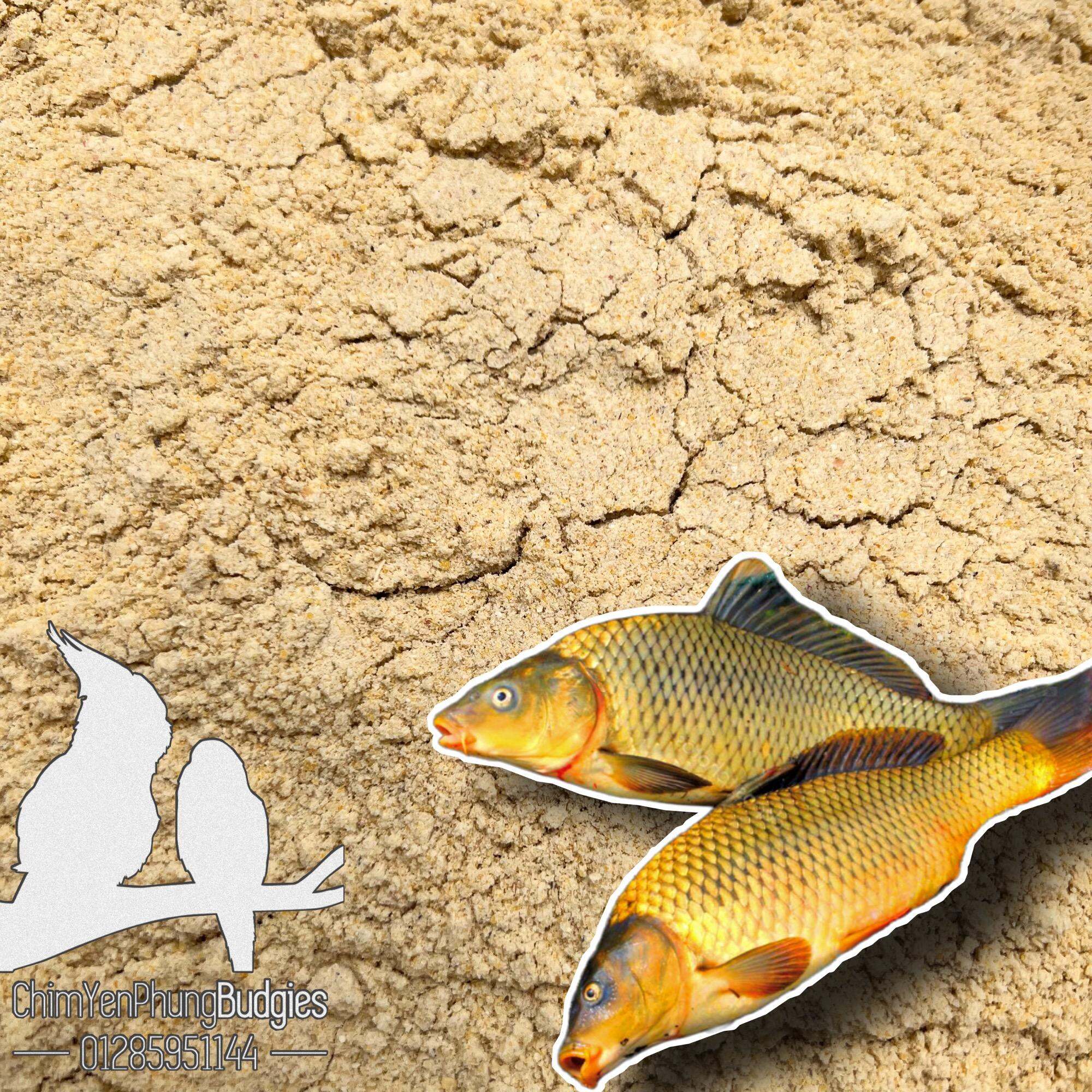 1kg cám bắp bột (bắp xay) thức ăn cho chim, gà con, cá con hoặc làm mồi câu cá.