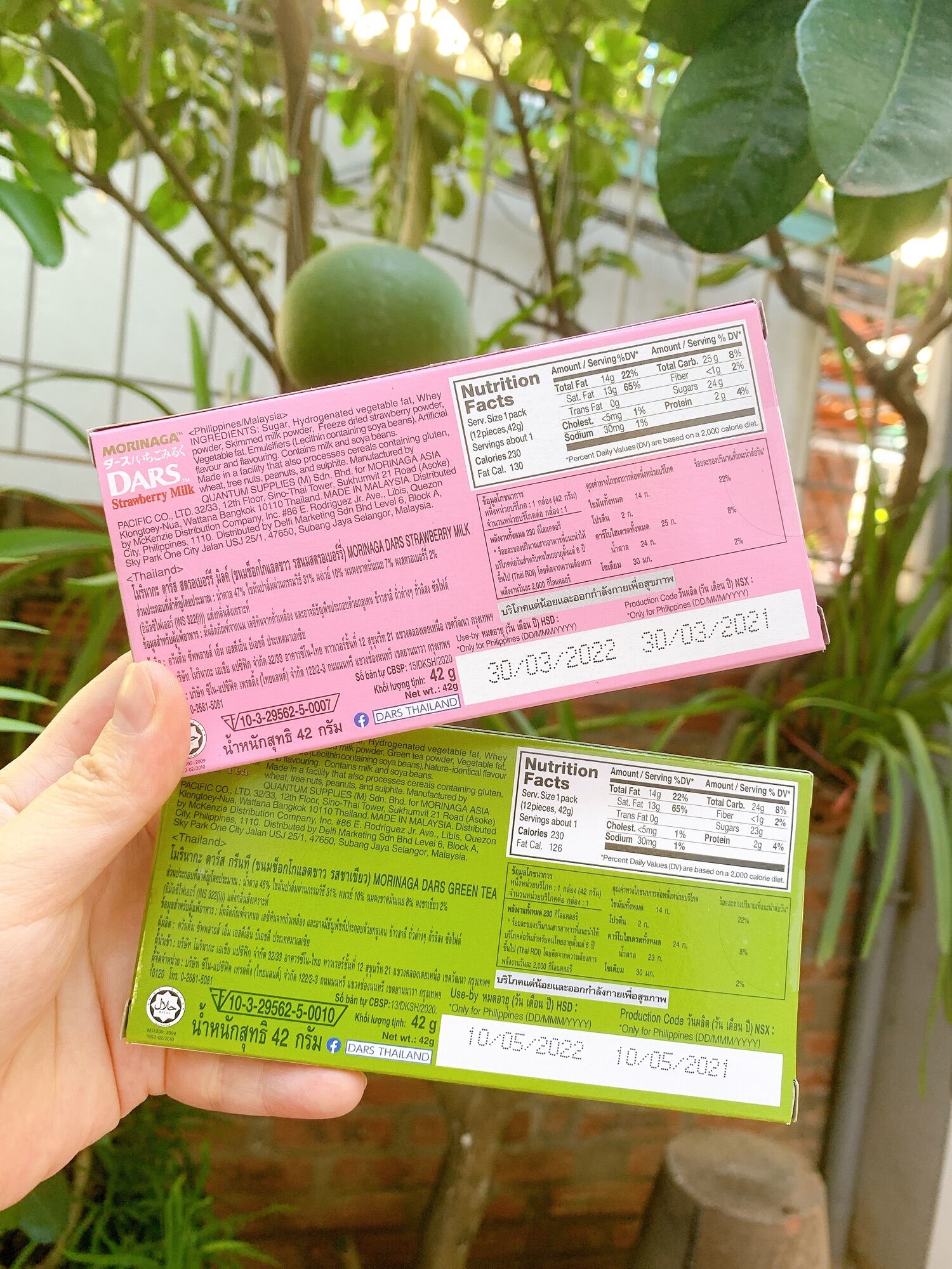 Socola Morinaga Dars 5 Vị hàng chuẩn 42g(12 viên/hộp)
