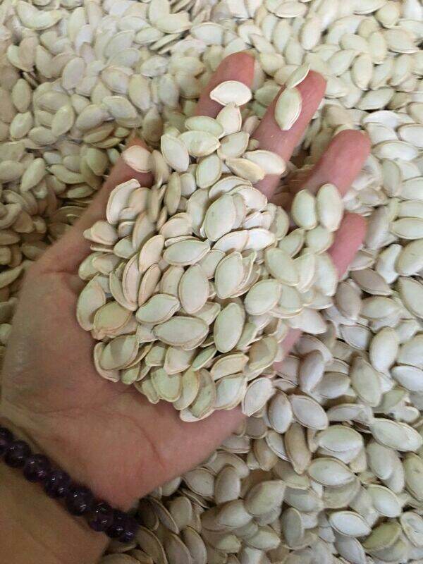 1kg hạt bí ngô ( sống)