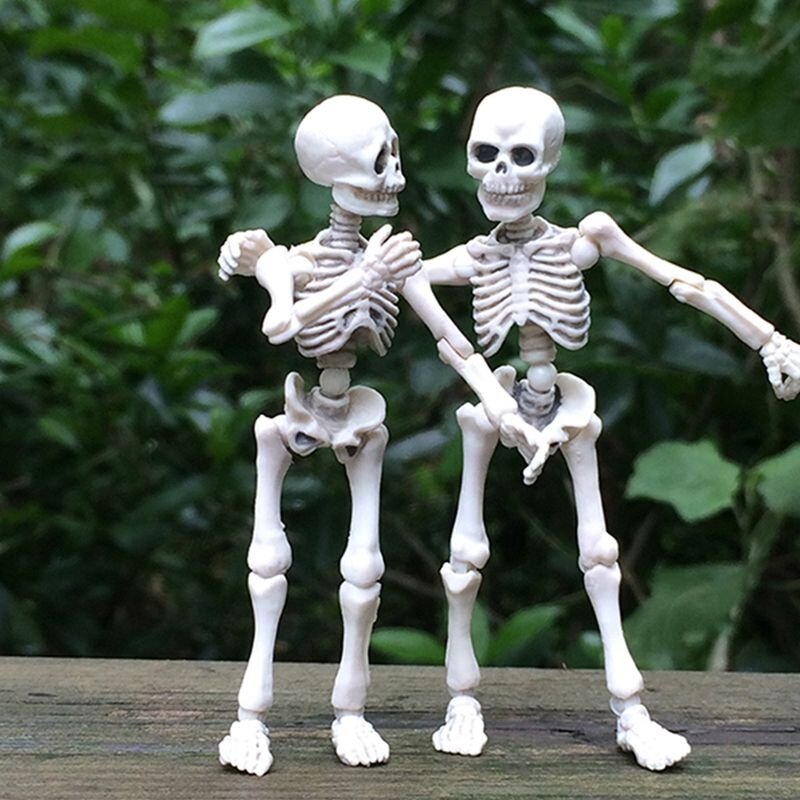 Bộ xương mini tí hon mô hình cute
