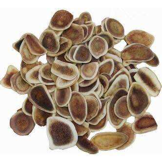 Nhung hươu khô thái lát 50g - 100g