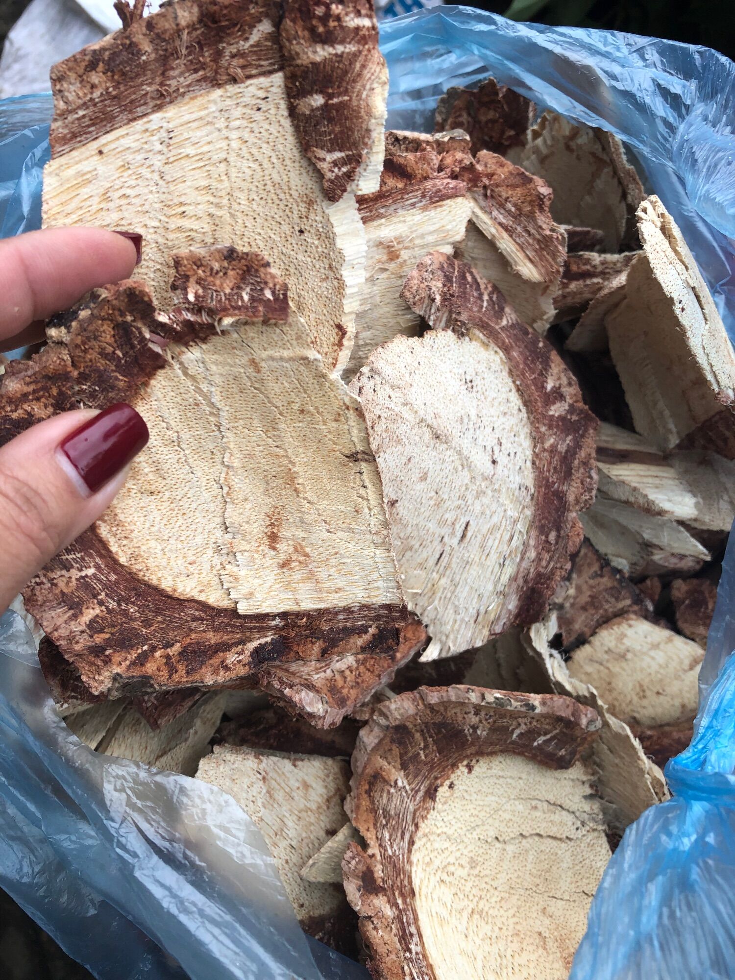 Cỏ máu tăng cân 100k/3kg