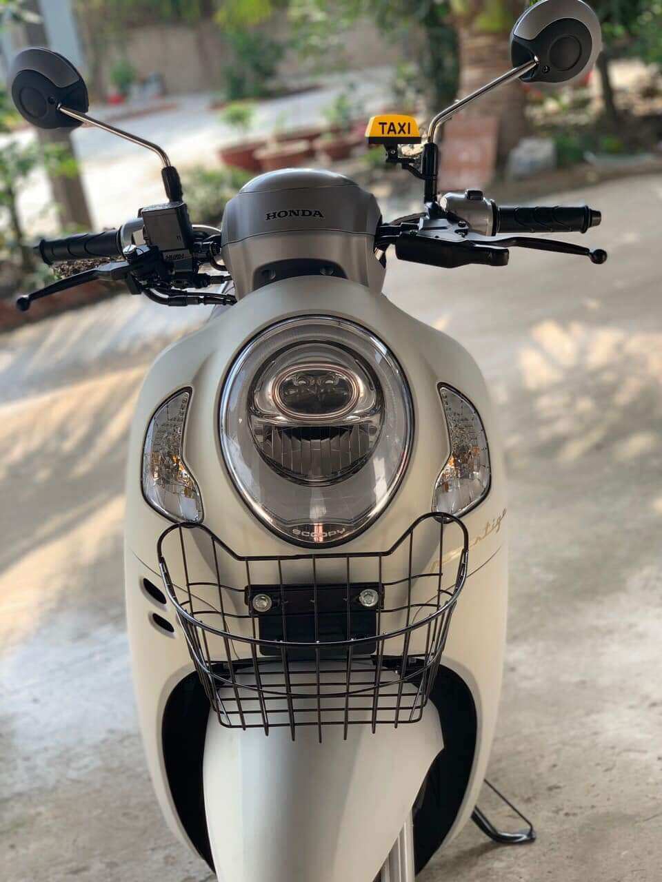 Rổ scoopy 2021